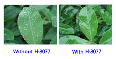 Organosilicone Adjuvant H-8077 Organosilicone Adjuvant H-8077